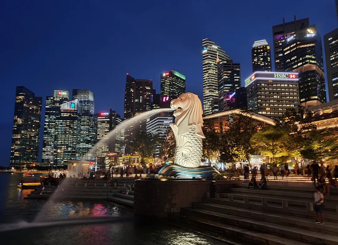 1770533782587826.jpeg 640-5.jpeg